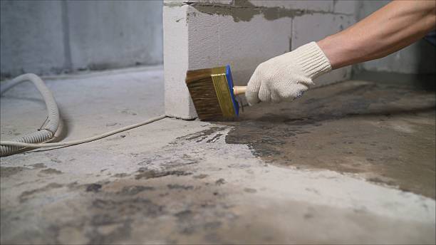 24/7 Emergency Waterproofing experts in Mount Pleasant, SC